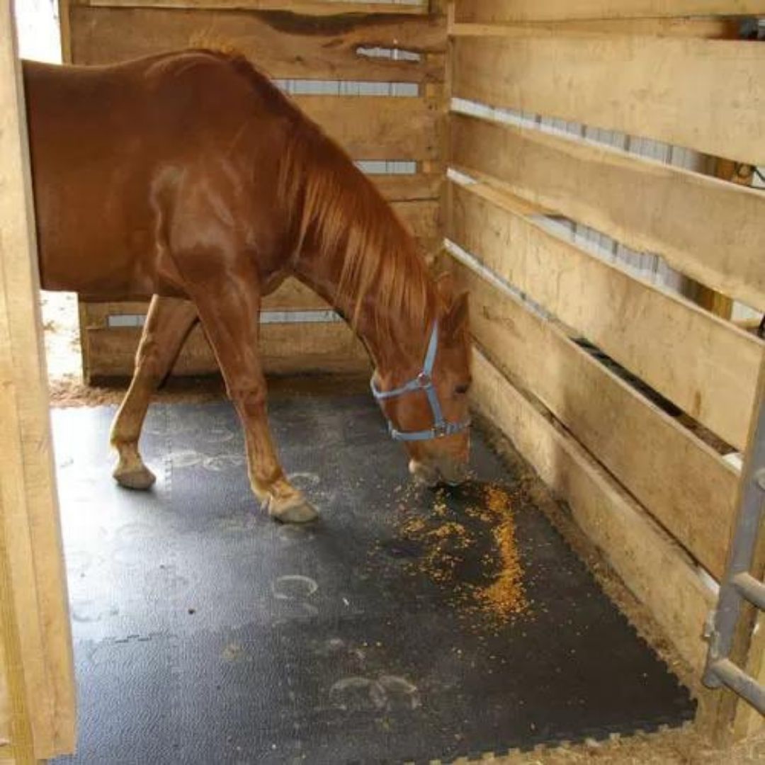 Vulcanized Rubber Horse Stall Mat Interlocking Kits