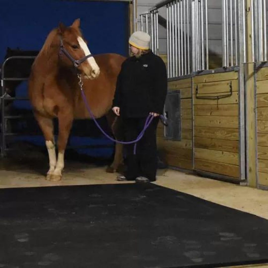 Re-Vulcanized Rubber Stall Mats - Straight Edge