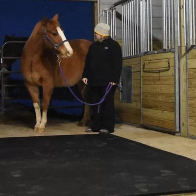 Re-Vulcanized Rubber Stall Mats - Straight Edge