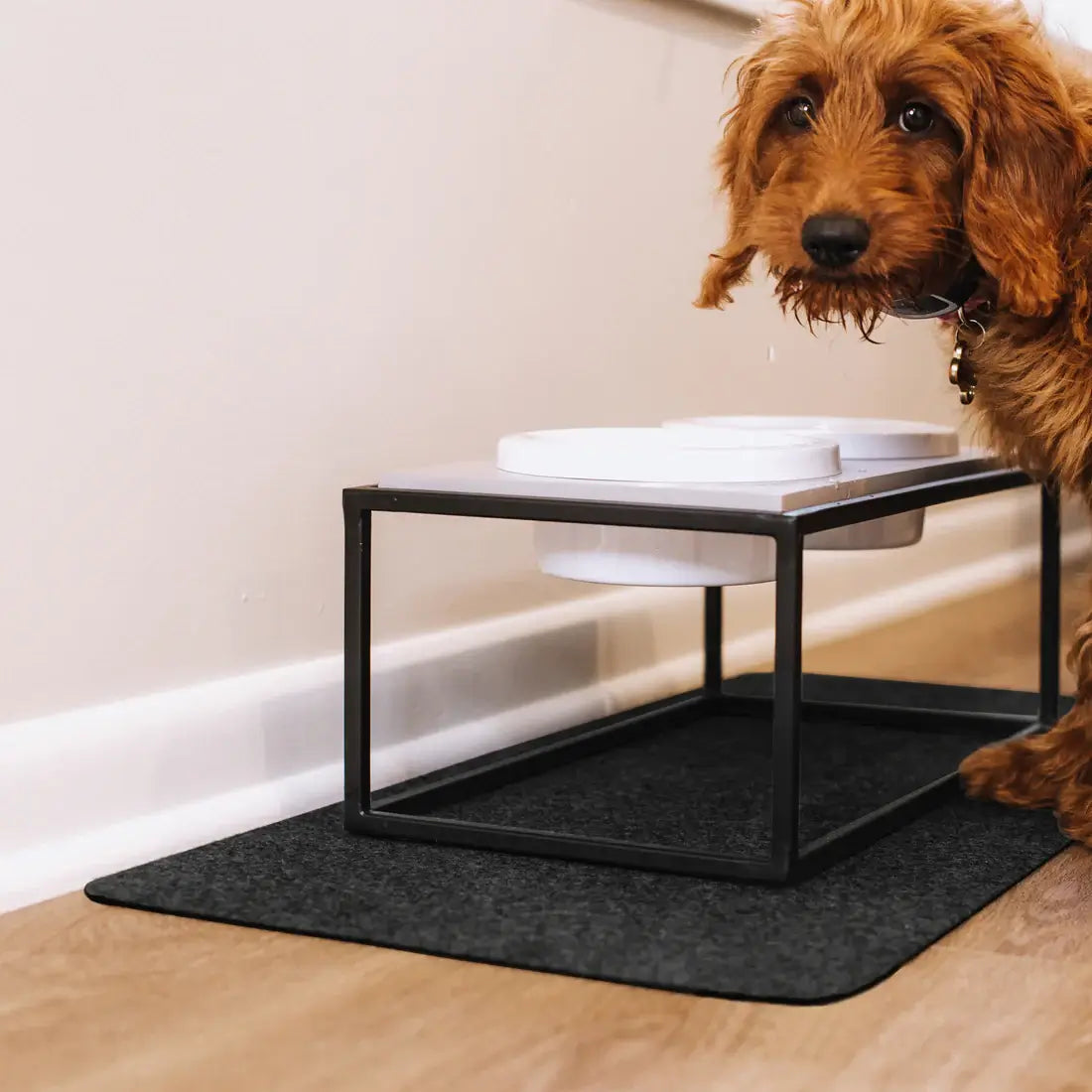 Drip & Dry Pet Bowl Mat