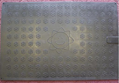 Indoor Heated Mat